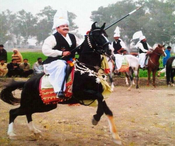 چوہدری ذوالفقارعلی باگڑی نیزا بازی میں اپنی انفرادی مہارت کا مظاہرہ کرتے ہوئے ۔