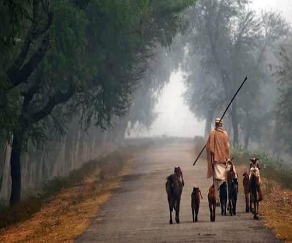 گجرات ، پاکستان کا ایک خوبصورت منظر ۔